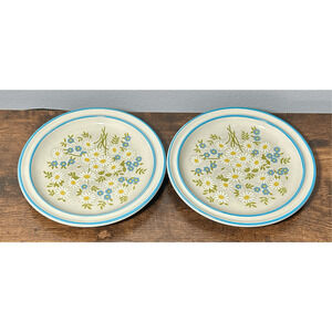 Vtg Pair Fairfield Mastercraft Stoneware Daisies Pattern Dessert/Salad Plates